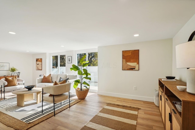 living room featuring light hardwood / wood-style flooring