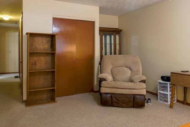 living area with carpet and a textured ceiling