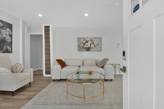 living room featuring light hardwood / wood-style floors