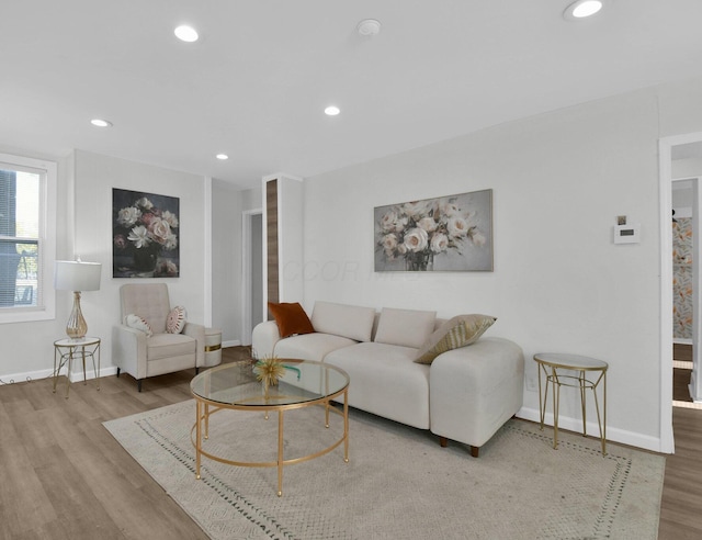 living room featuring light hardwood / wood-style flooring