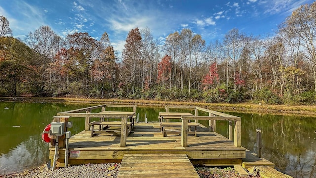 view of dock with a water view