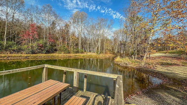 dock area featuring a water view