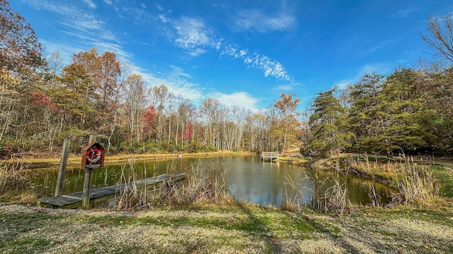 property view of water