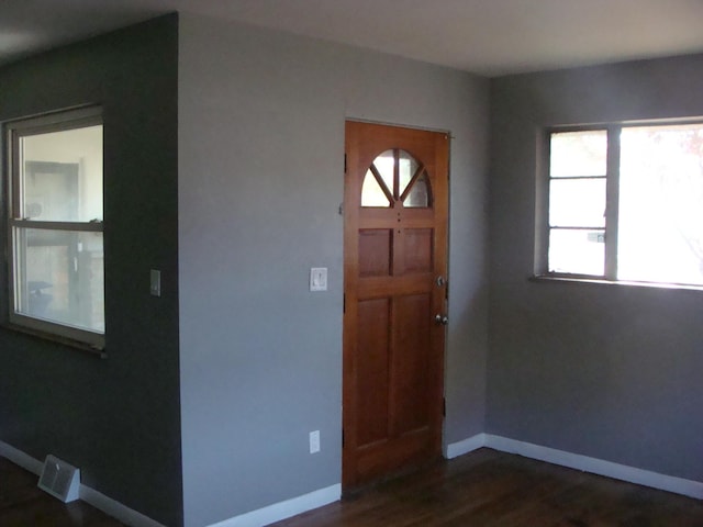 foyer entrance featuring dark wood-type flooring