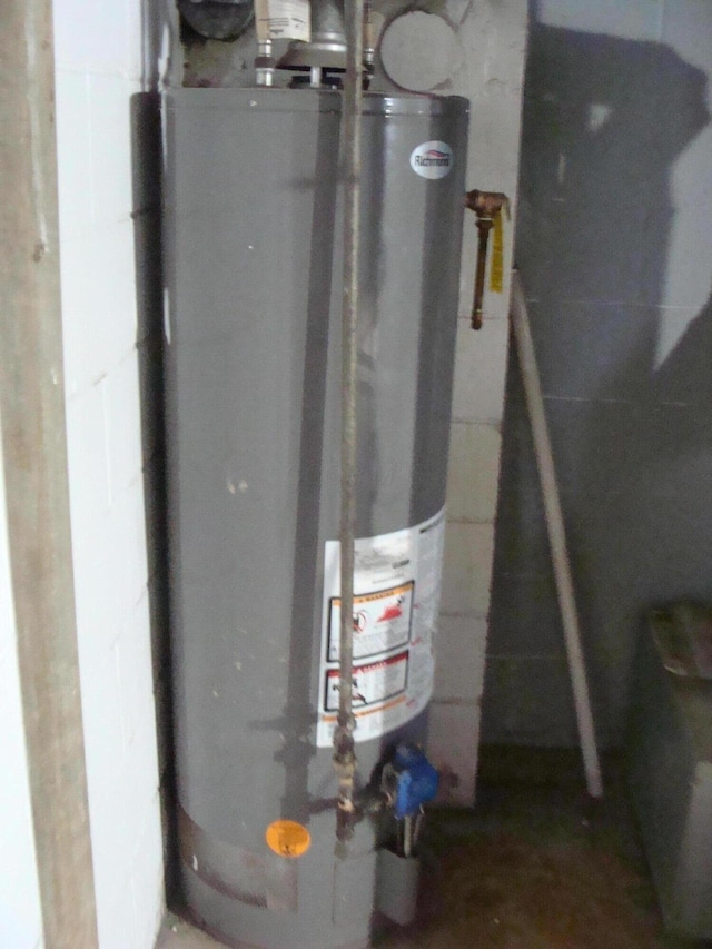 utility room with gas water heater