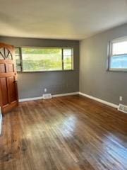 empty room featuring dark hardwood / wood-style flooring and a wealth of natural light