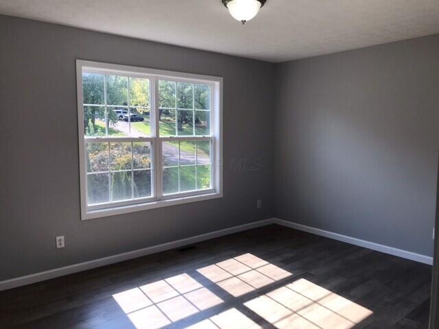 empty room with dark wood-type flooring