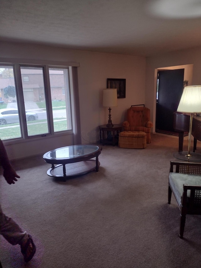 living room with carpet floors