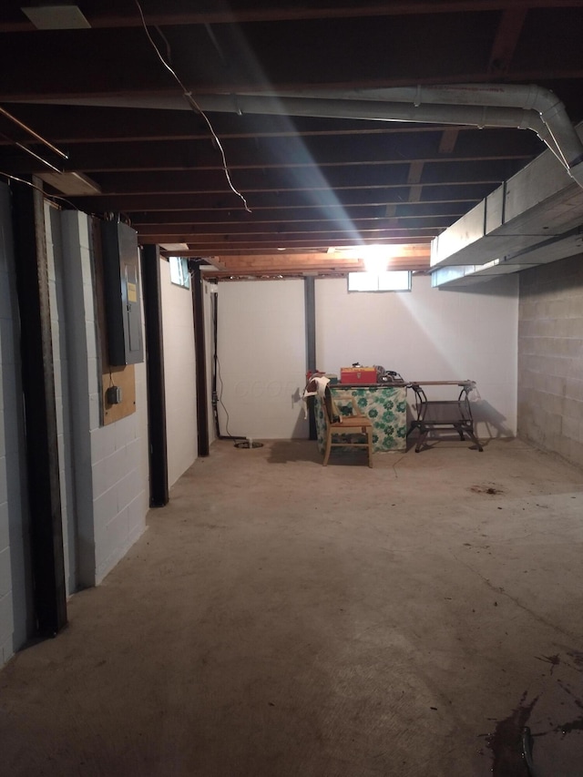 basement with electric panel