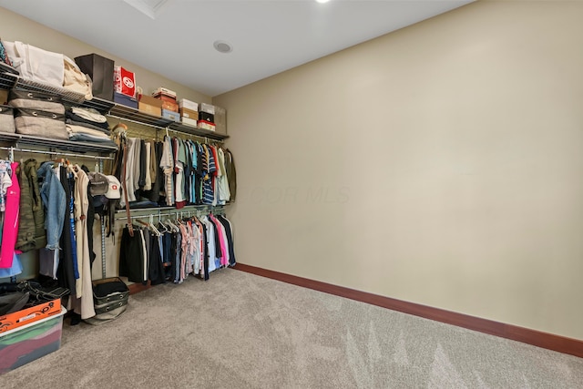 spacious closet with carpet flooring