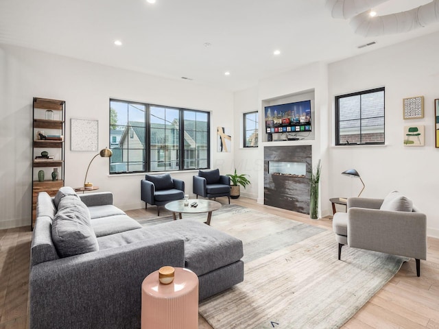 living room featuring a fireplace and light wood-type flooring