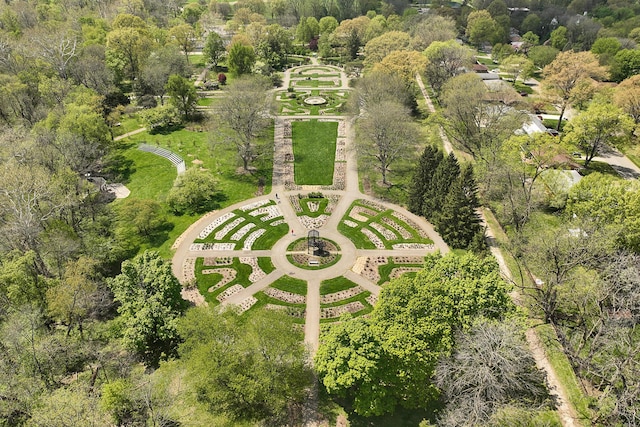 aerial view