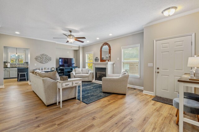 living room featuring crown molding, ceiling fan, light hardwood / wood-style floors, and a textured ceiling