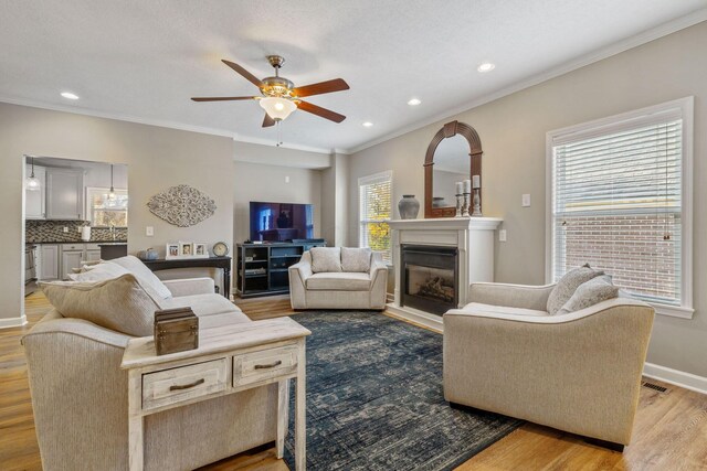 living room with ceiling fan, crown molding, and light hardwood / wood-style floors