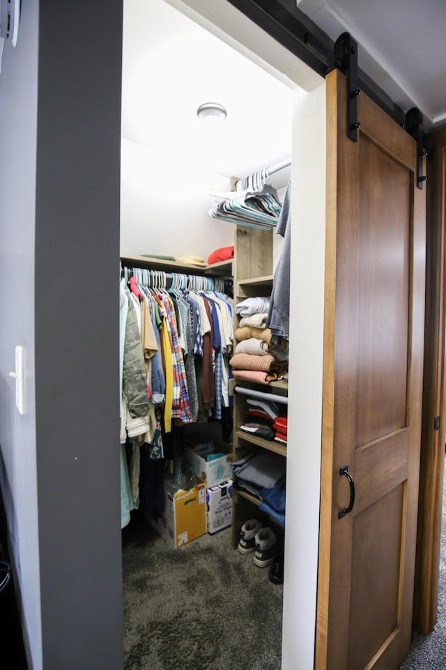 spacious closet with carpet flooring and a barn door