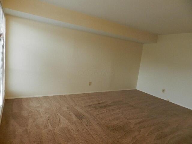 unfurnished room featuring carpet floors