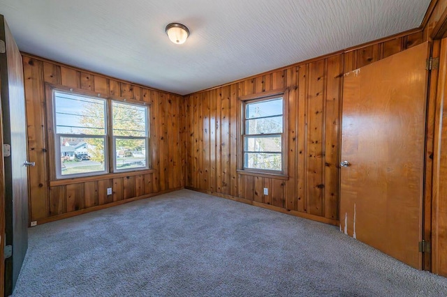 carpeted empty room with wooden walls and crown molding