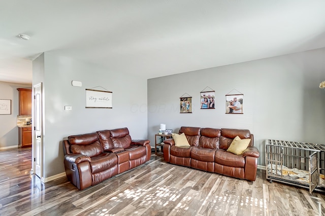 living room with hardwood / wood-style flooring