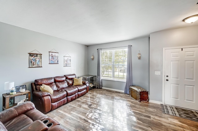 living room featuring hardwood / wood-style floors