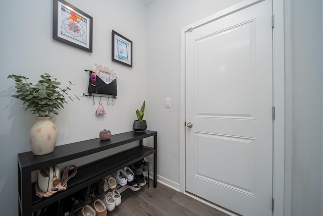 doorway with dark hardwood / wood-style floors