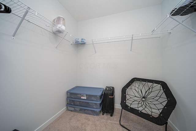 spacious closet with carpet floors