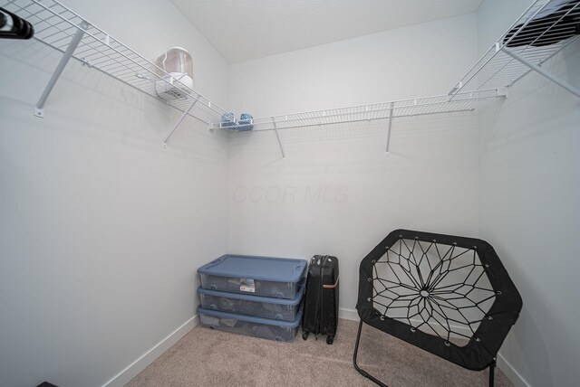 1143 Gelbray Dr, Columbus, OH 43207 - photo 32