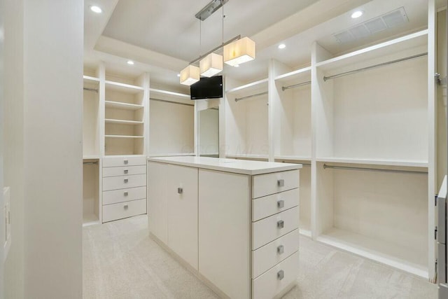 spacious closet with light carpet