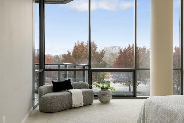 bedroom with carpet and floor to ceiling windows