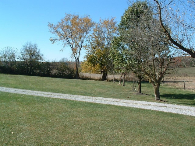 view of yard