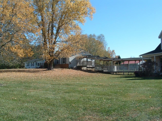 view of yard