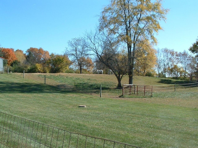 view of yard featuring a rural view