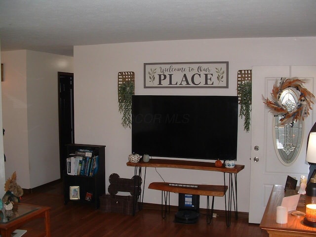 living room with dark wood-type flooring