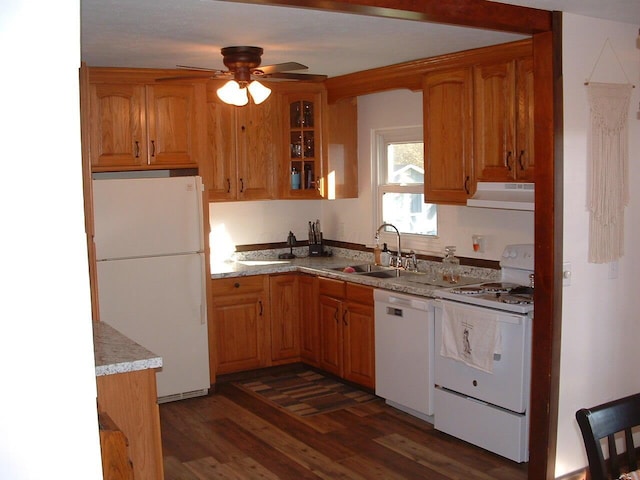 kitchen featuring ceiling fan, sink, dark hardwood / wood-style floors, extractor fan, and white appliances