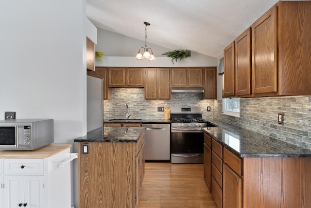 kitchen featuring vaulted ceiling, tasteful backsplash, sink, exhaust hood, and stainless steel appliances