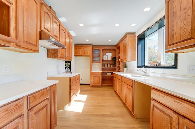 kitchen with light hardwood / wood-style floors and sink