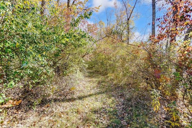 view of landscape