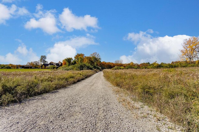 view of road with a rural view