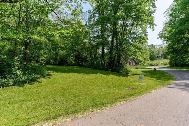 view of community featuring a lawn