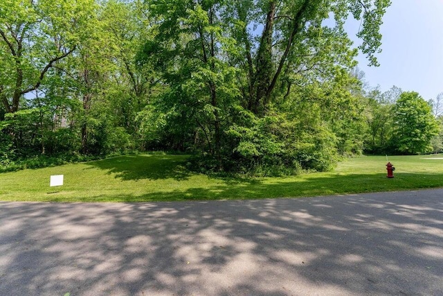 view of community featuring a lawn