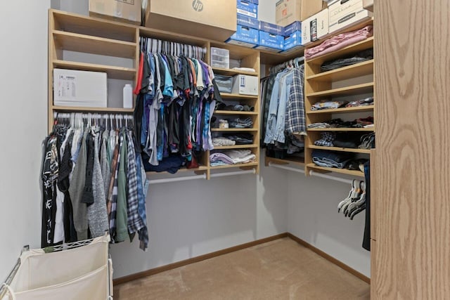 walk in closet with carpet flooring