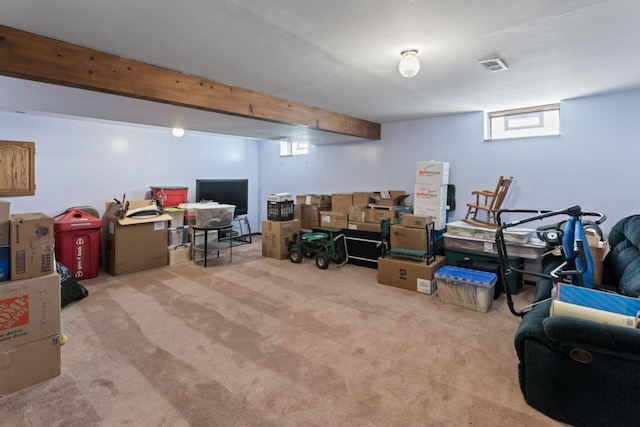 basement with light carpet