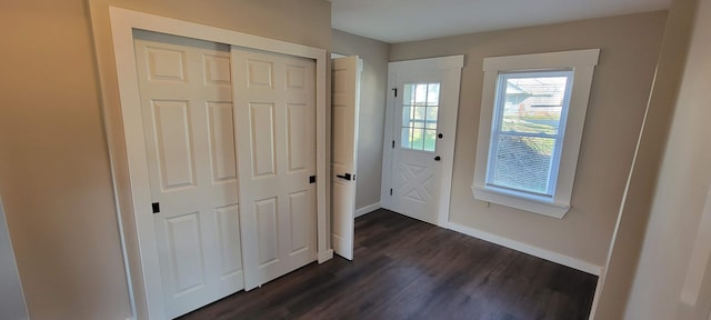 entryway featuring dark wood-type flooring