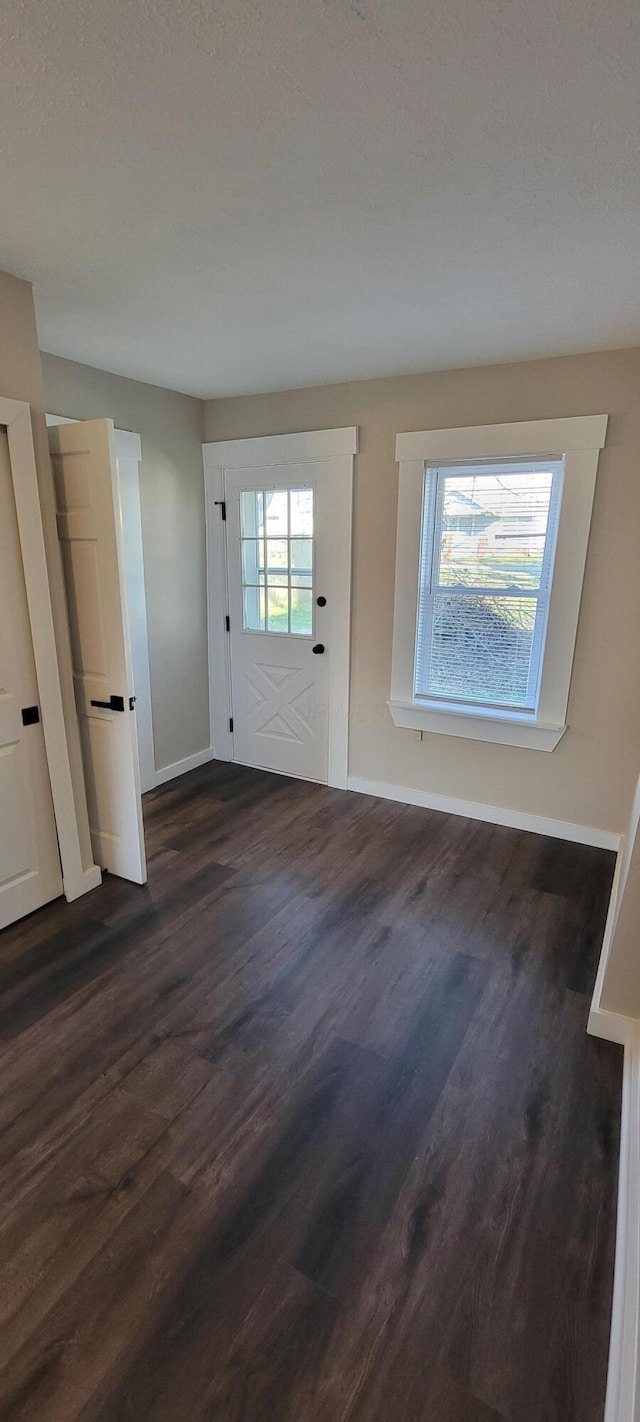 interior space with dark hardwood / wood-style floors