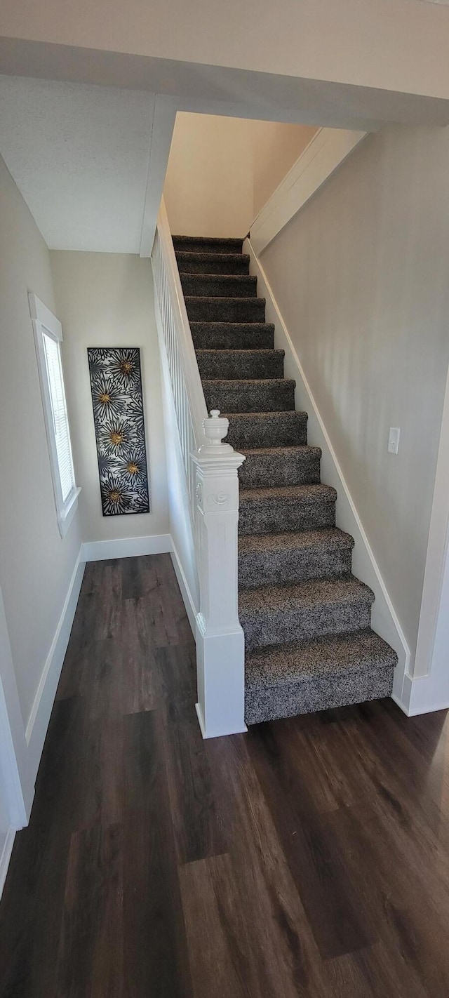 stairway with wood-type flooring