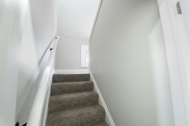 stairway with carpet floors