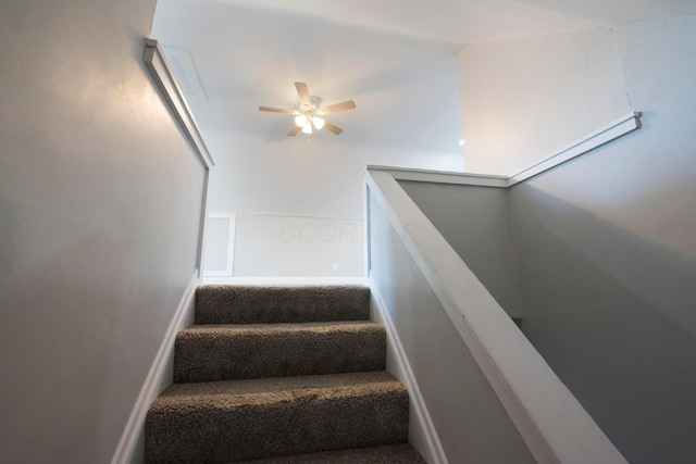 stairway with ceiling fan