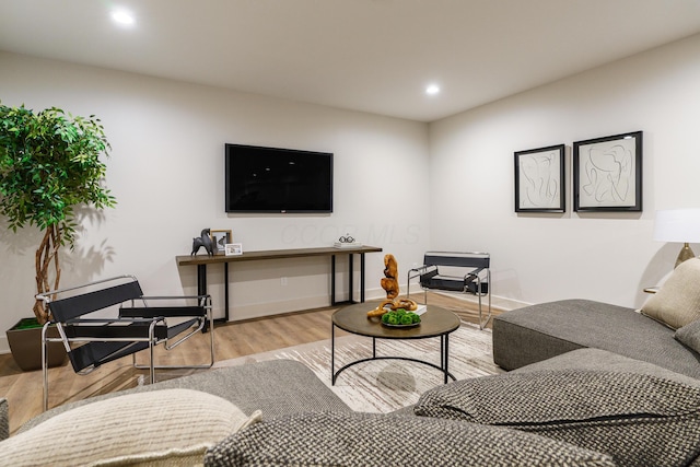 living room with light wood-type flooring