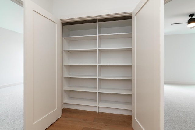 view of closet