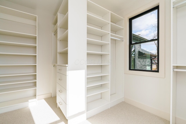 spacious closet with light carpet