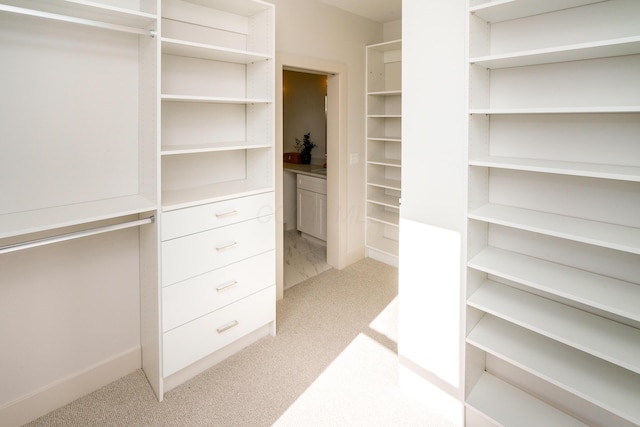 spacious closet with light colored carpet